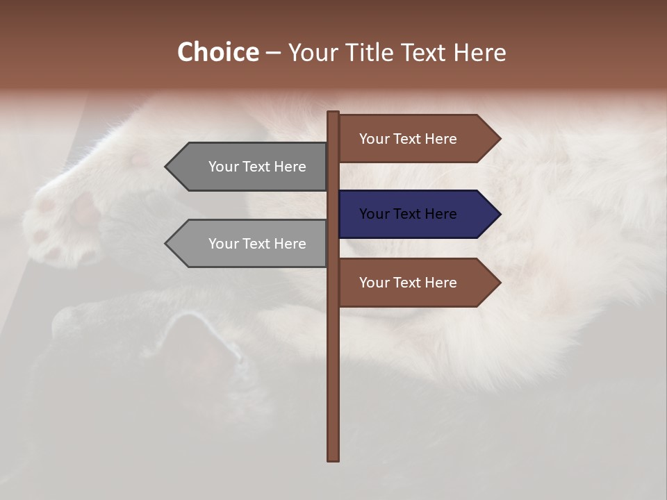 Adorable Lying Little PowerPoint Template