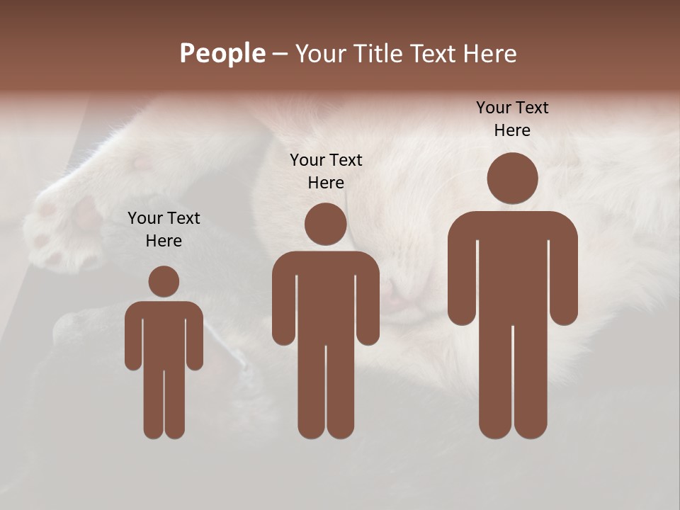 Adorable Lying Little PowerPoint Template