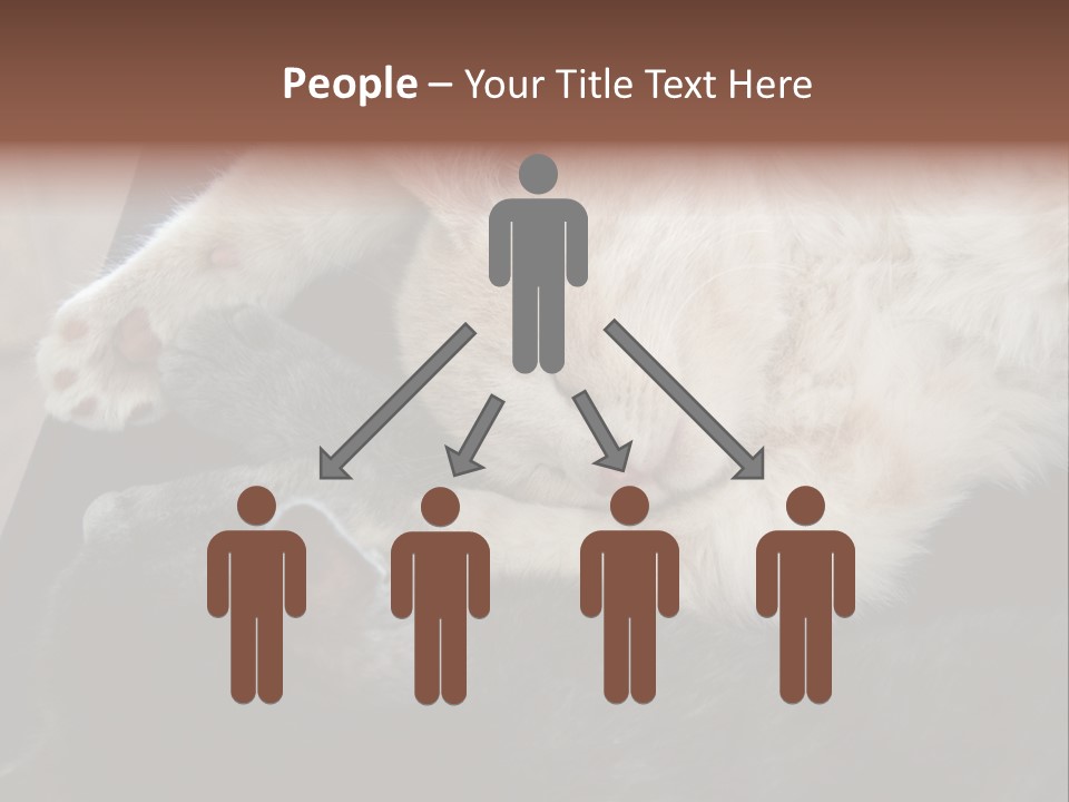 Adorable Lying Little PowerPoint Template