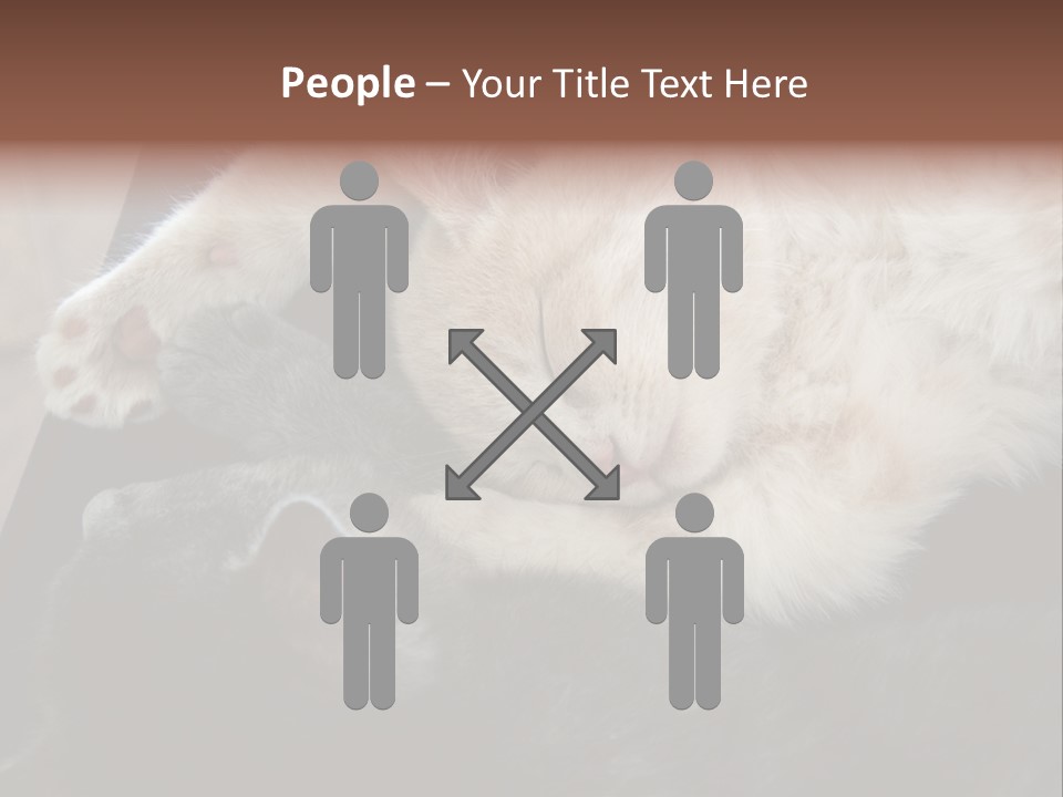 Adorable Lying Little PowerPoint Template