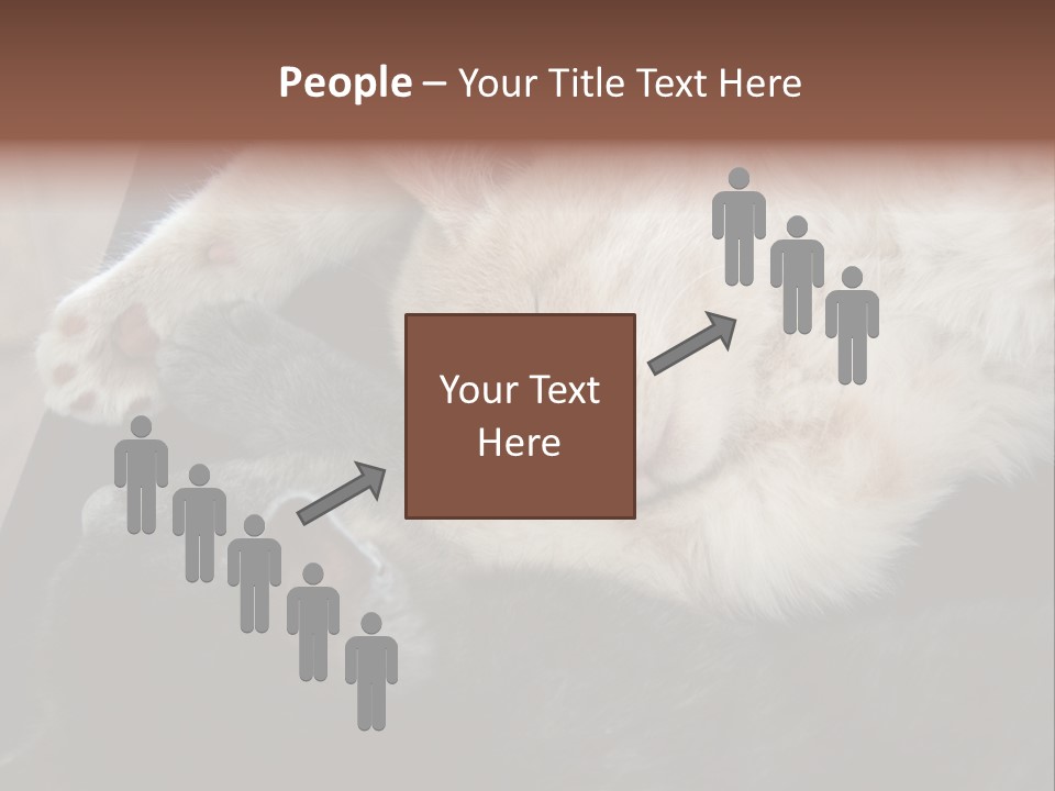 Adorable Lying Little PowerPoint Template