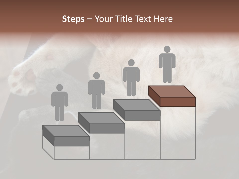 Adorable Lying Little PowerPoint Template