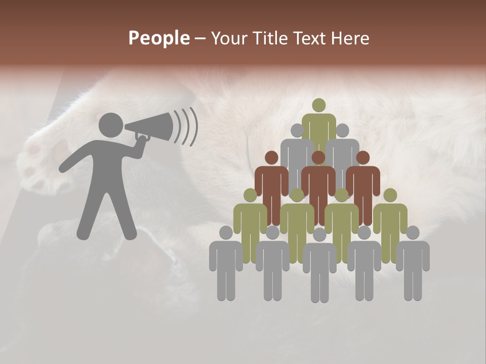 Adorable Lying Little PowerPoint Template