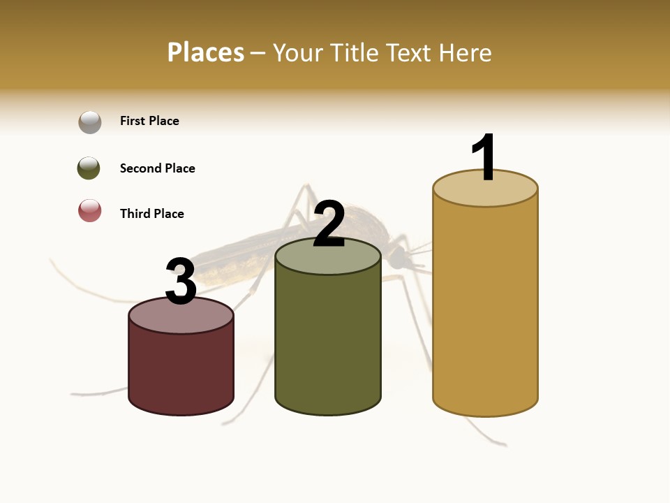 Nature Gnat Fever PowerPoint Template