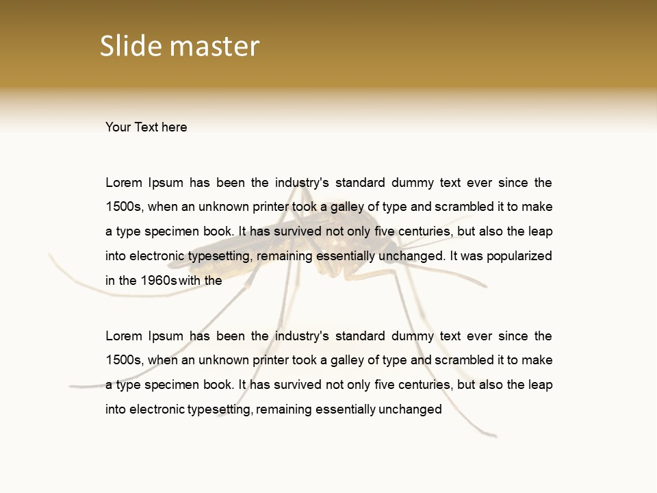 Nature Gnat Fever PowerPoint Template