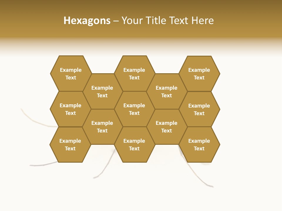 Nature Gnat Fever PowerPoint Template