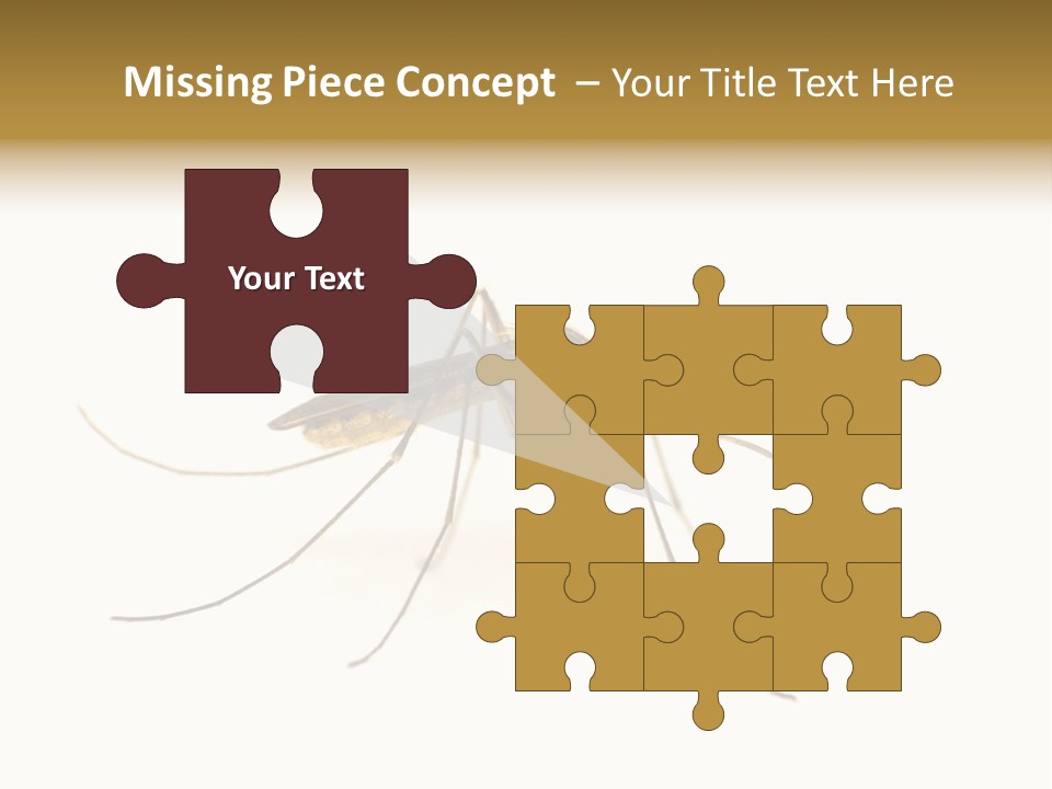 Nature Gnat Fever PowerPoint Template