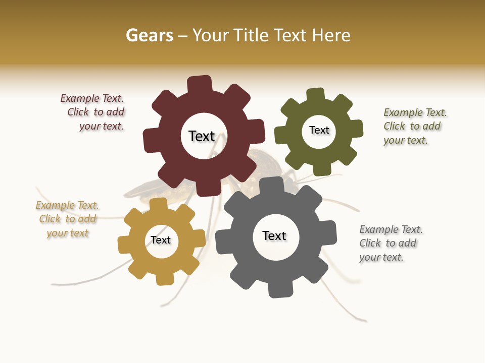 Nature Gnat Fever PowerPoint Template