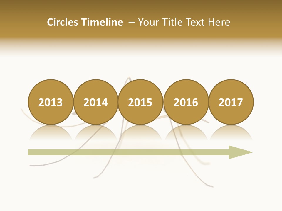 Nature Gnat Fever PowerPoint Template