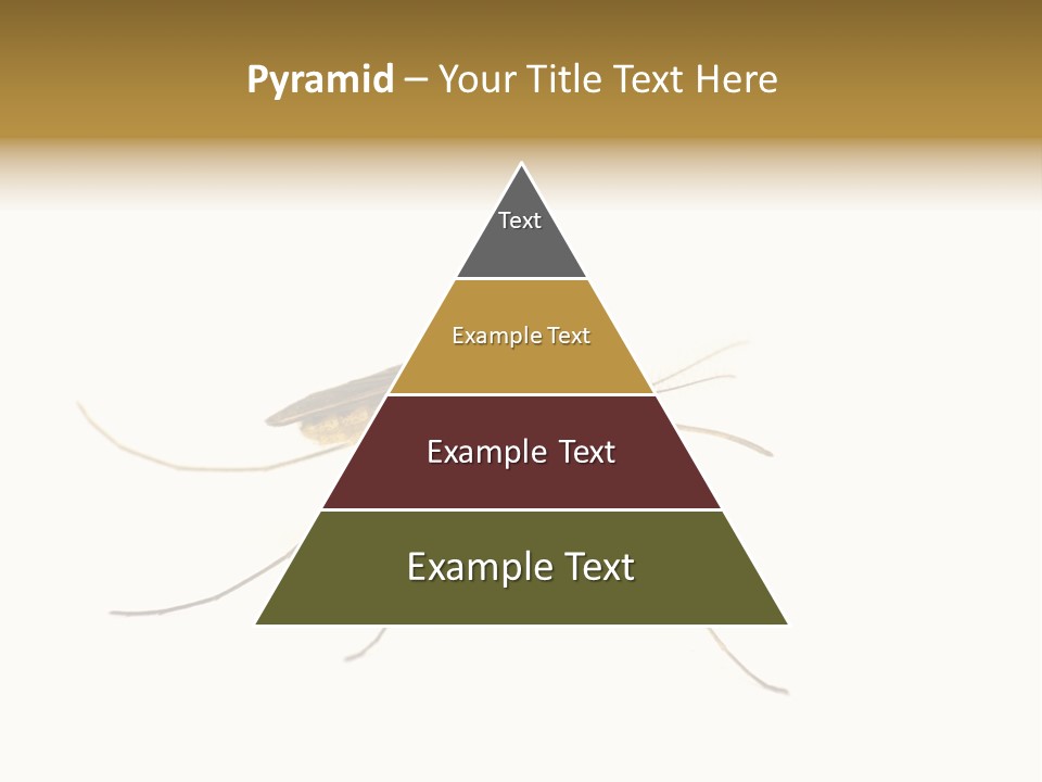 Nature Gnat Fever PowerPoint Template