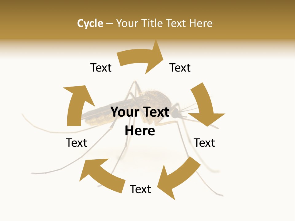 Nature Gnat Fever PowerPoint Template