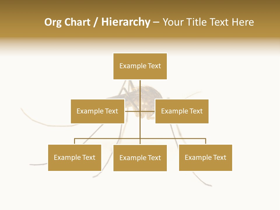 Nature Gnat Fever PowerPoint Template