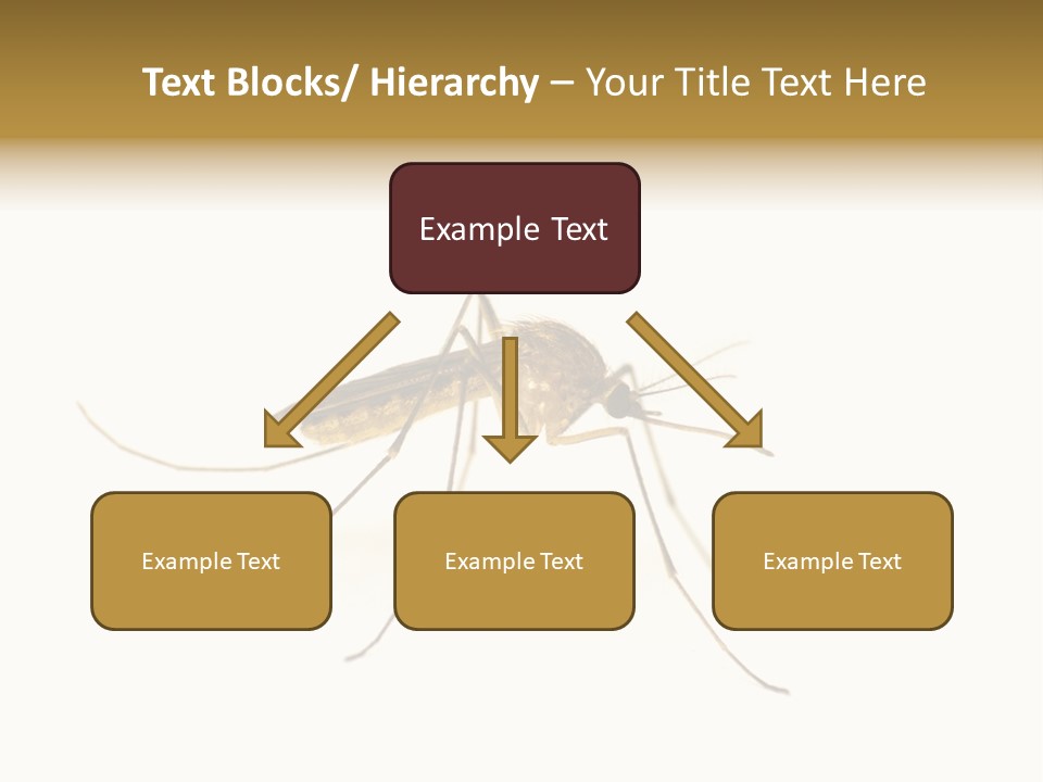 Nature Gnat Fever PowerPoint Template