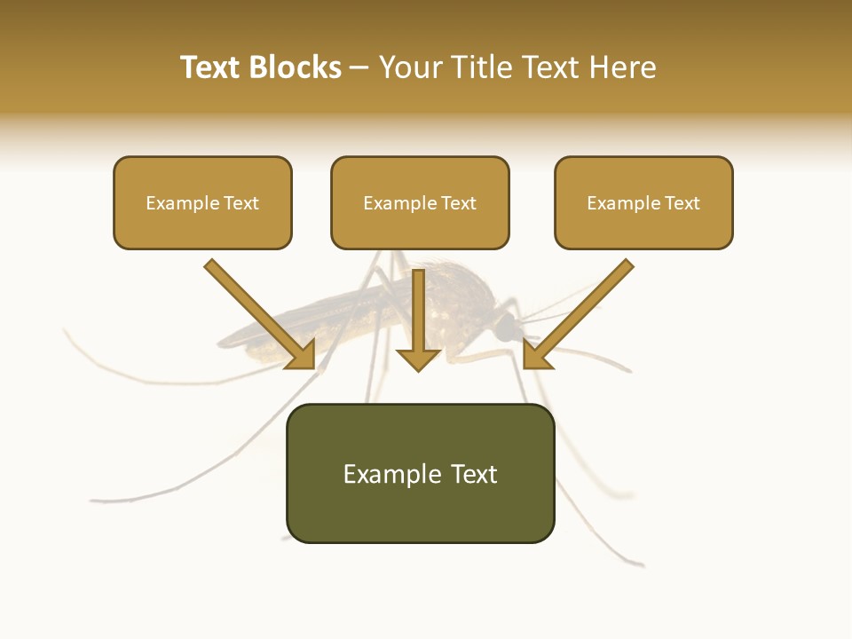 Nature Gnat Fever PowerPoint Template
