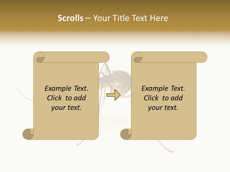 Nature Gnat Fever PowerPoint Template