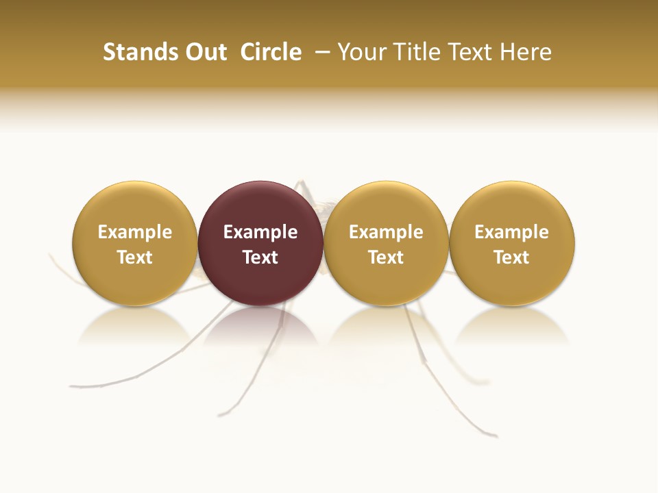 Nature Gnat Fever PowerPoint Template