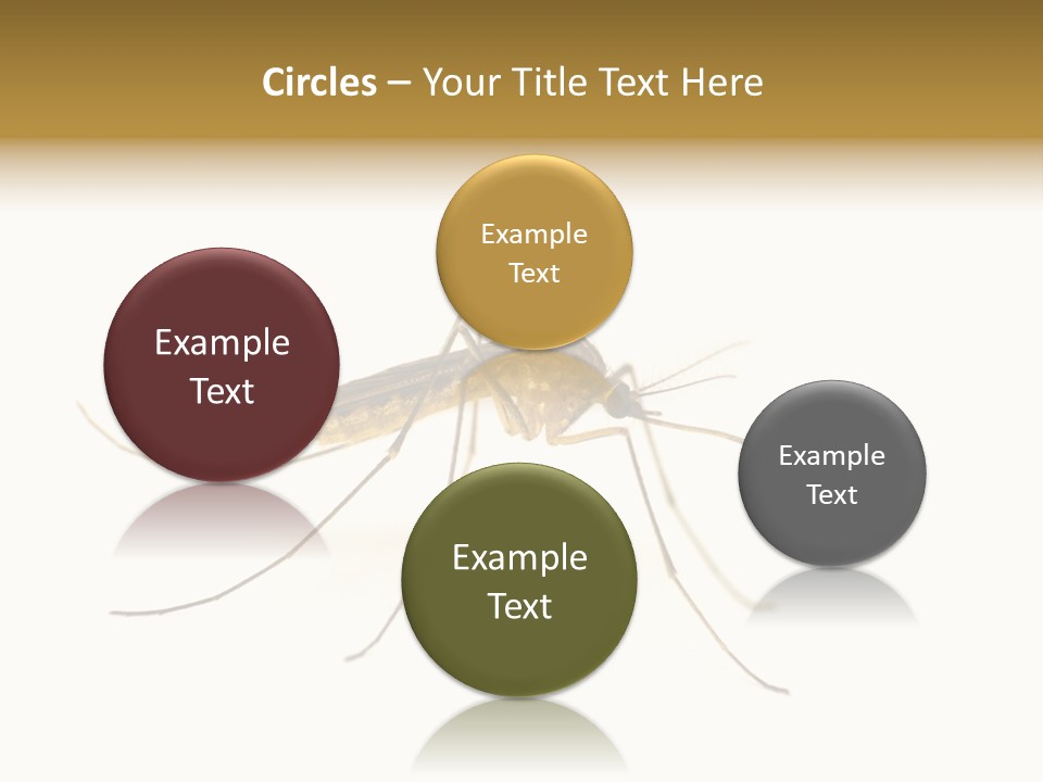 Nature Gnat Fever PowerPoint Template