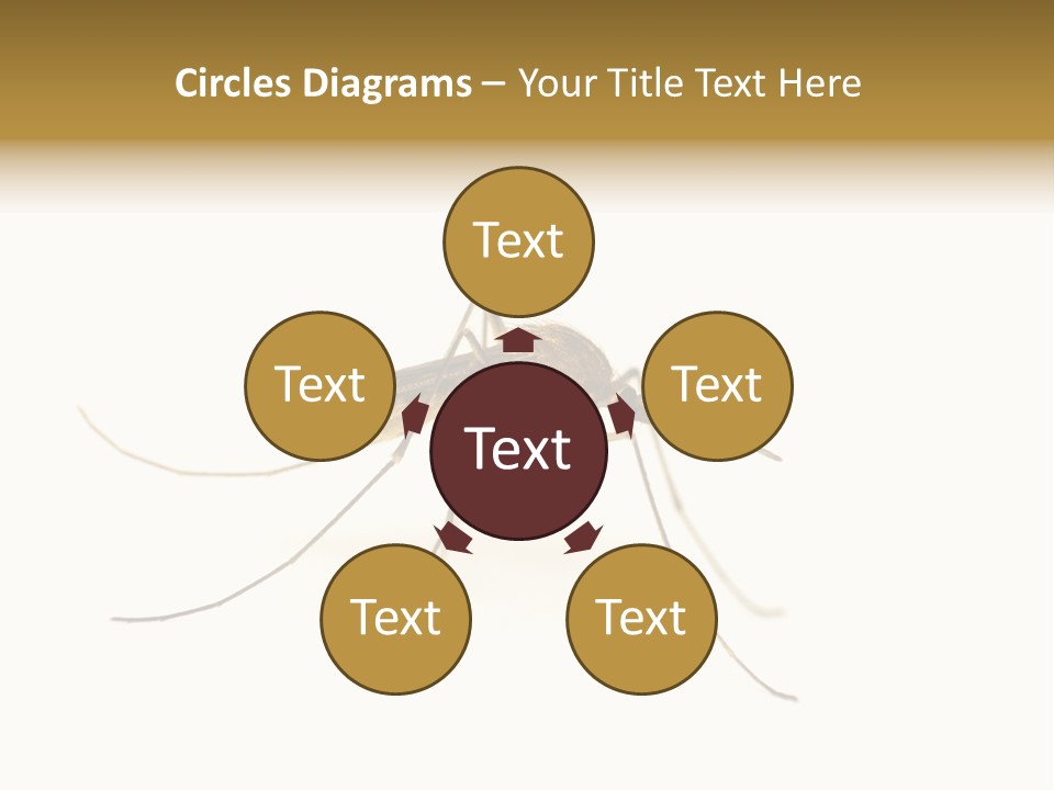 Nature Gnat Fever PowerPoint Template