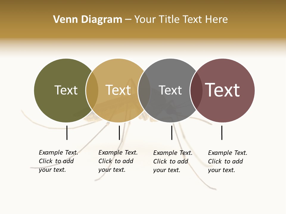Nature Gnat Fever PowerPoint Template