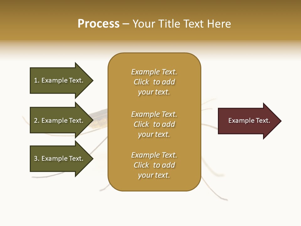 Nature Gnat Fever PowerPoint Template