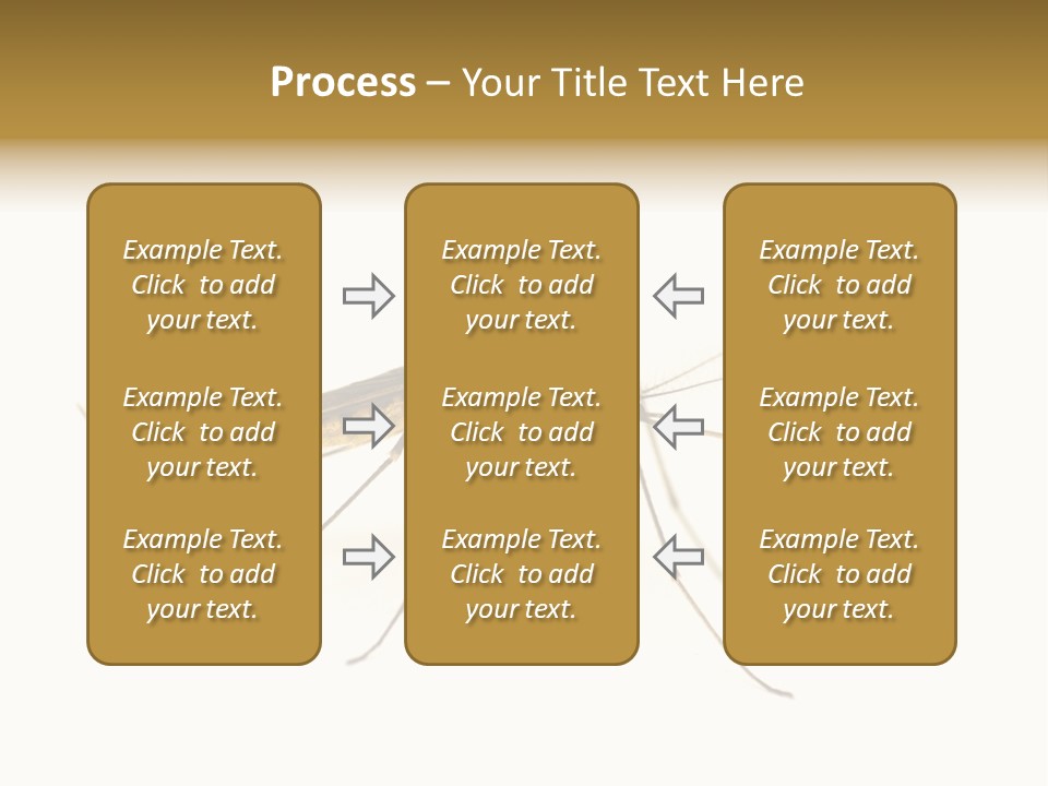 Nature Gnat Fever PowerPoint Template