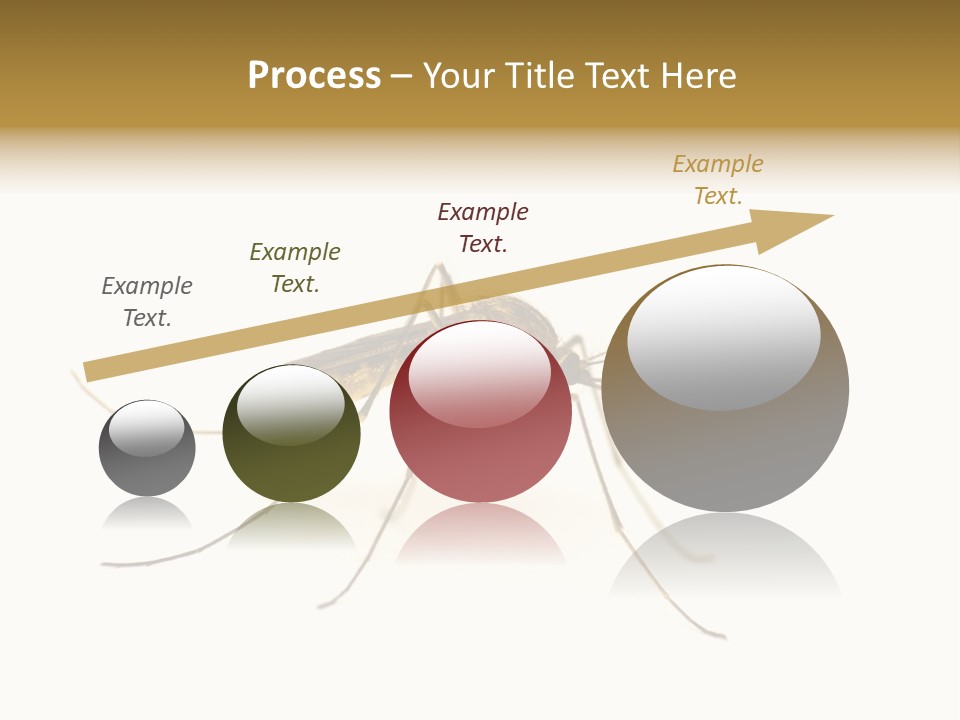 Nature Gnat Fever PowerPoint Template