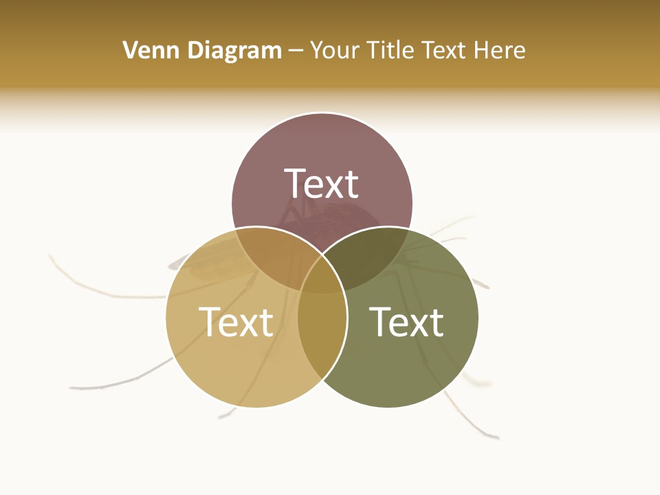 Nature Gnat Fever PowerPoint Template