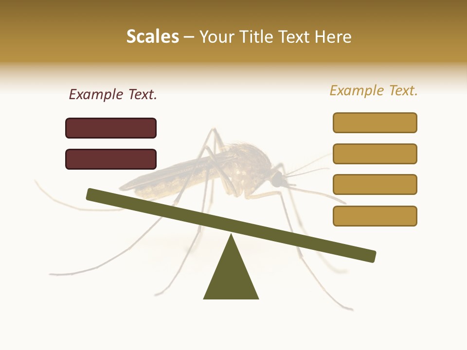 Nature Gnat Fever PowerPoint Template