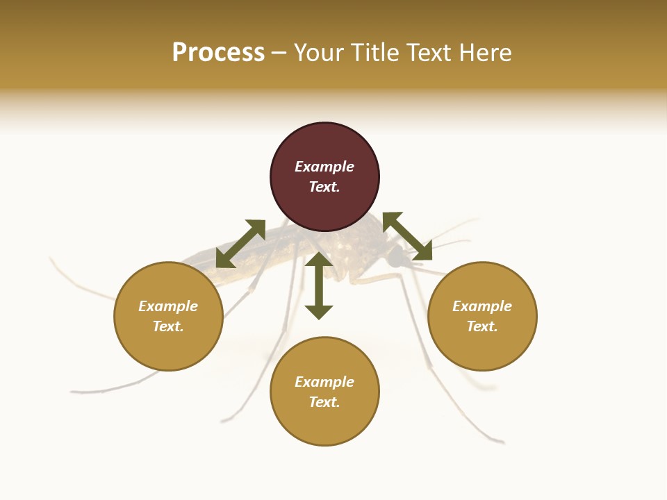 Nature Gnat Fever PowerPoint Template