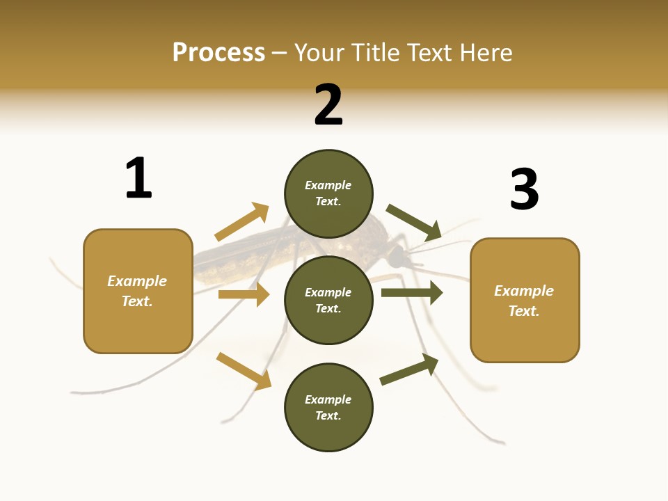 Nature Gnat Fever PowerPoint Template