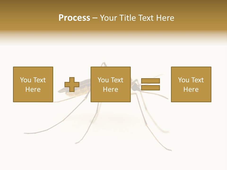 Nature Gnat Fever PowerPoint Template