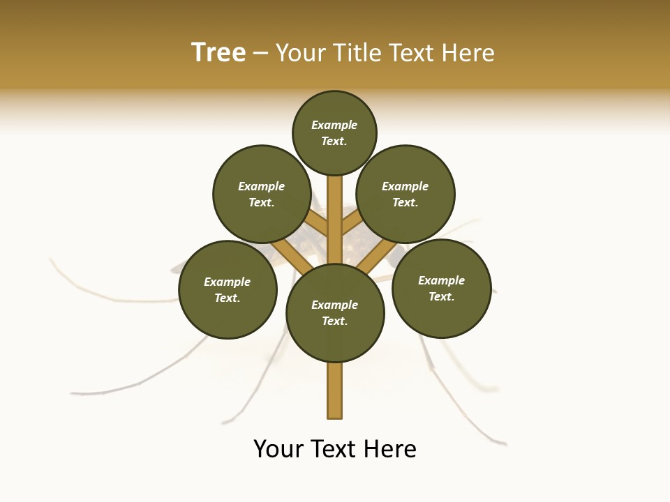 Nature Gnat Fever PowerPoint Template