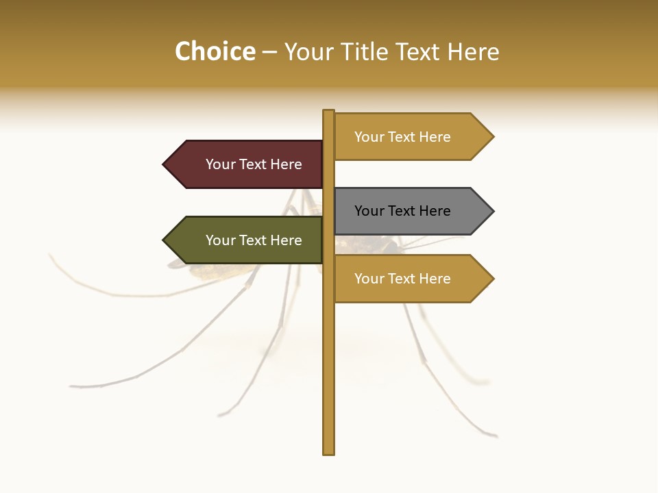 Nature Gnat Fever PowerPoint Template