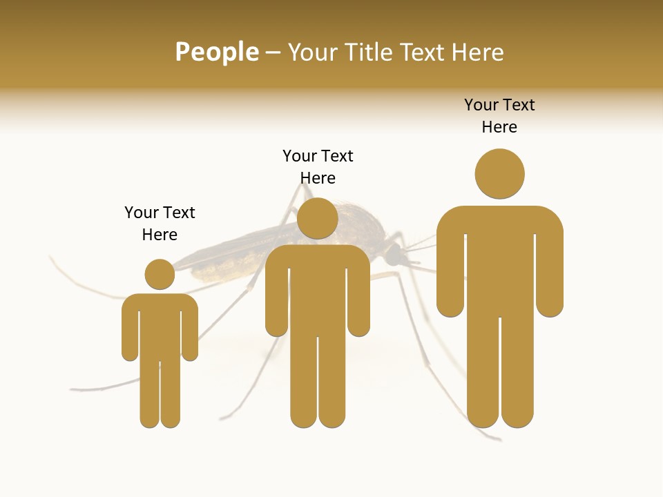 Nature Gnat Fever PowerPoint Template