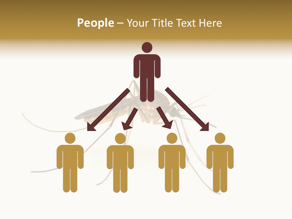 Nature Gnat Fever PowerPoint Template