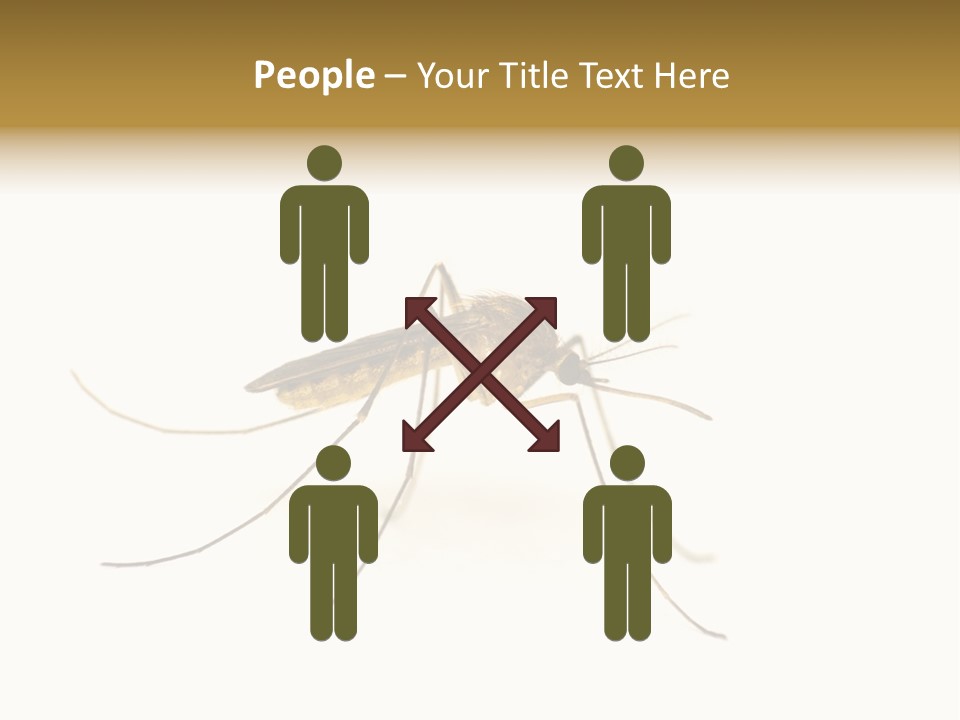 Nature Gnat Fever PowerPoint Template