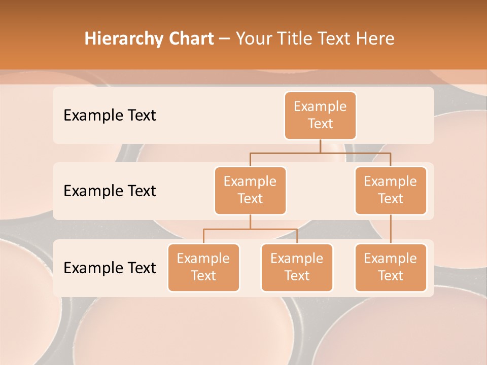 A Close Up Of A Palette Of Makeup PowerPoint Template