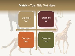 A Group Of Different Animals Standing Next To Each Other PowerPoint Template