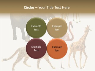 A Group Of Different Animals Standing Next To Each Other PowerPoint Template