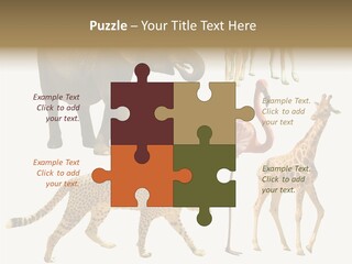 A Group Of Different Animals Standing Next To Each Other PowerPoint Template