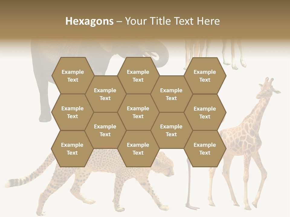 A Group Of Different Animals Standing Next To Each Other PowerPoint Template
