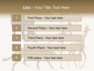 A Group Of Different Animals Standing Next To Each Other PowerPoint Template