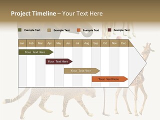 A Group Of Different Animals Standing Next To Each Other PowerPoint Template