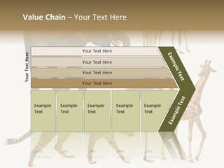 A Group Of Different Animals Standing Next To Each Other PowerPoint Template