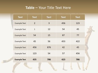 A Group Of Different Animals Standing Next To Each Other PowerPoint Template