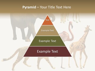 A Group Of Different Animals Standing Next To Each Other PowerPoint Template