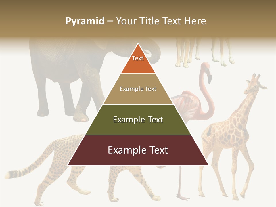 A Group Of Different Animals Standing Next To Each Other PowerPoint Template