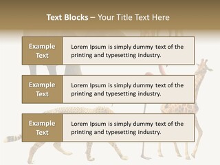 A Group Of Different Animals Standing Next To Each Other PowerPoint Template