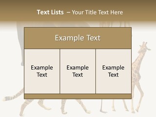 A Group Of Different Animals Standing Next To Each Other PowerPoint Template