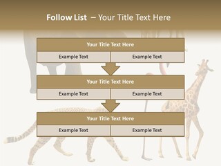 A Group Of Different Animals Standing Next To Each Other PowerPoint Template